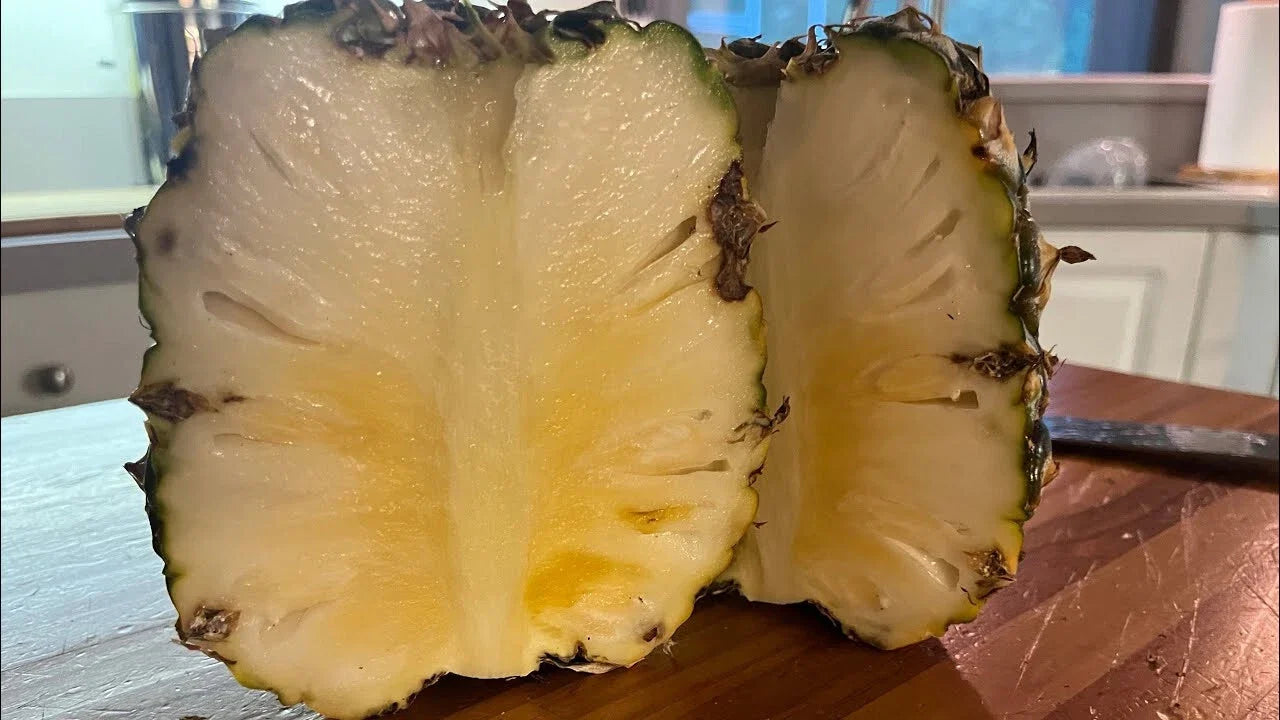Sugarloaf Pineapple Seeds - Ananas comosus, 15 Premium Garden Seeds for Home Growing, Tropical Fruit Planting, Non-GMO, USA