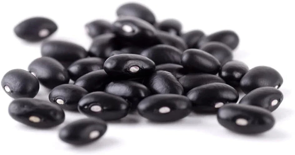 Cherokee Trail of Tears Bean Seeds - Heirloom Phaseolus vulgaris - 20 Seeds