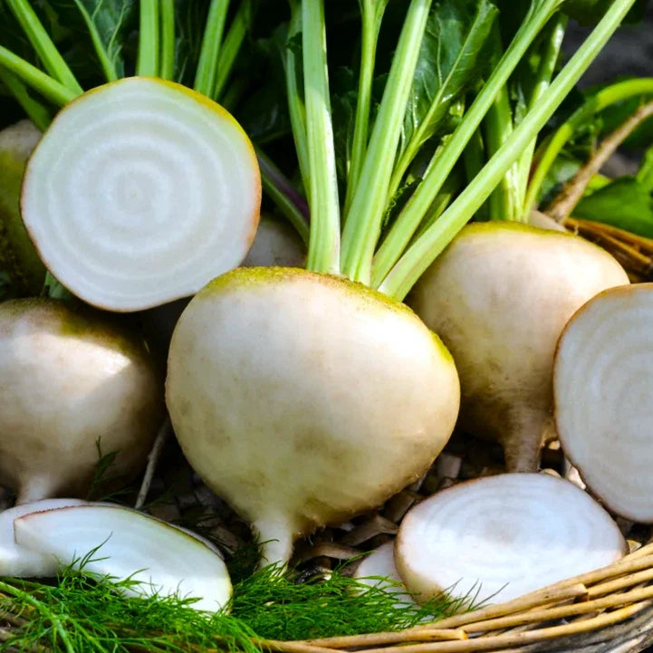 White Albino Beet Seeds - Mangel Turnip Variety for 2025 Planting, Beta vulgaris, Sweet Edible Roots, Non-GMO, Easy Grow