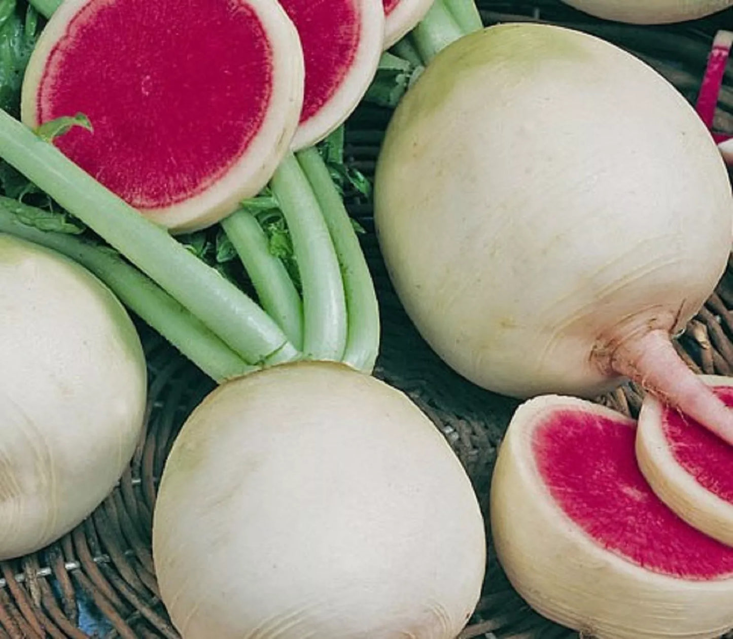 Watermelon Radish Seeds - 100+ Non-GMO Raphanus sativus Heirloom Vegetable Seeds for Salad and Gardening