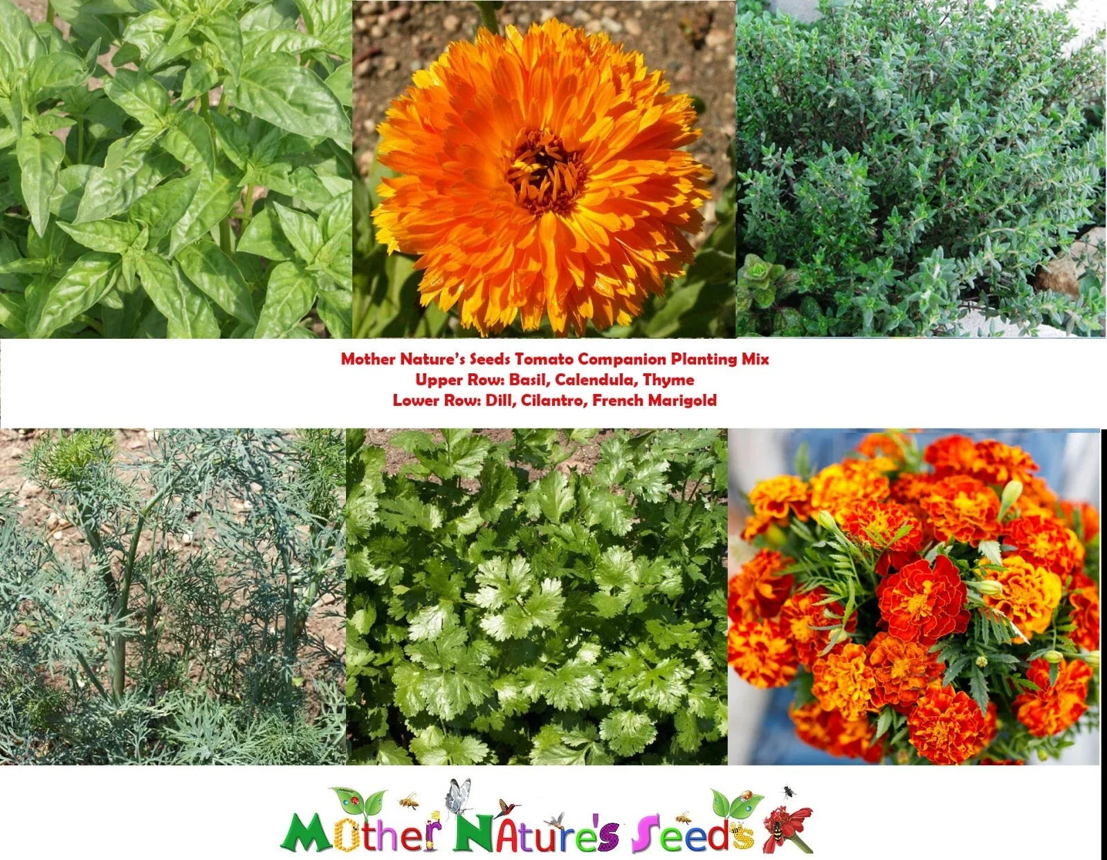 Tomato Companion Plant Mix Seeds - Non-GMO with Basil, Marigold, Thyme & More for Vegetable Gardens