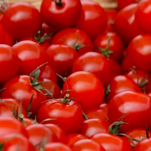 Small Red Cherry Tomato Seeds - 100+ Solanum lycopersicum for Salads & Sauces, Compact Growth, High Yield, Easy to Grow