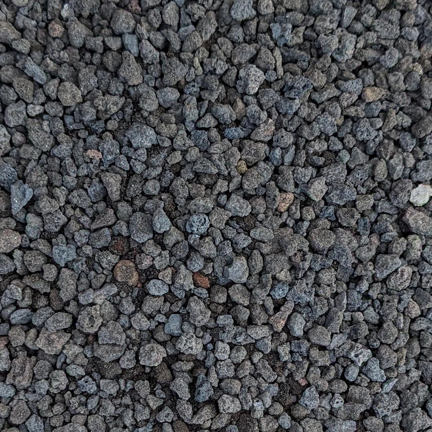 Black Lava Rocks for Plants 1/4" Natural Volcanic Rock for Drainage, Succulents, Terrariums & Landscaping