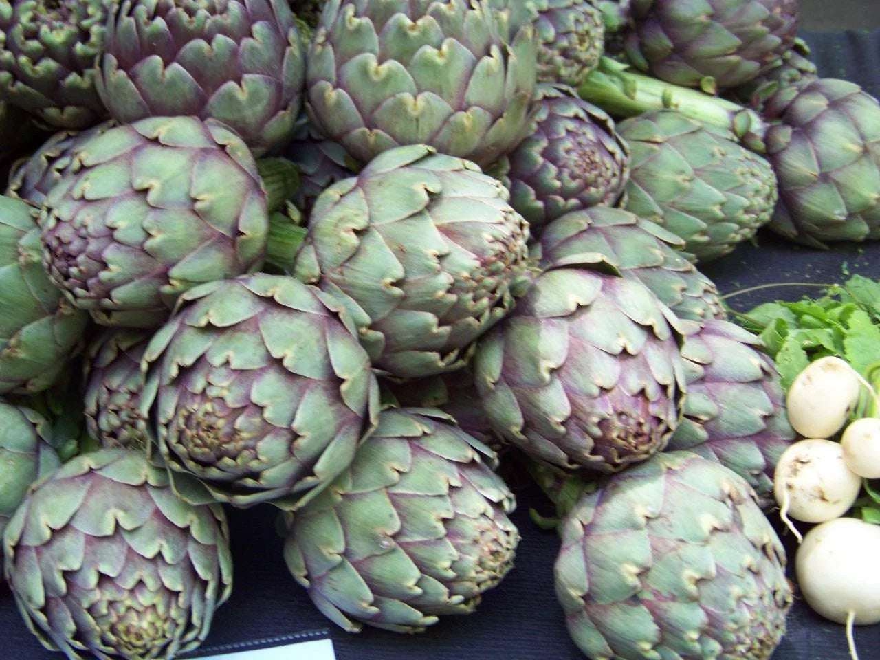 40 Green Globe Artichoke Seeds - Heirloom Non-GMO - GroCo USA