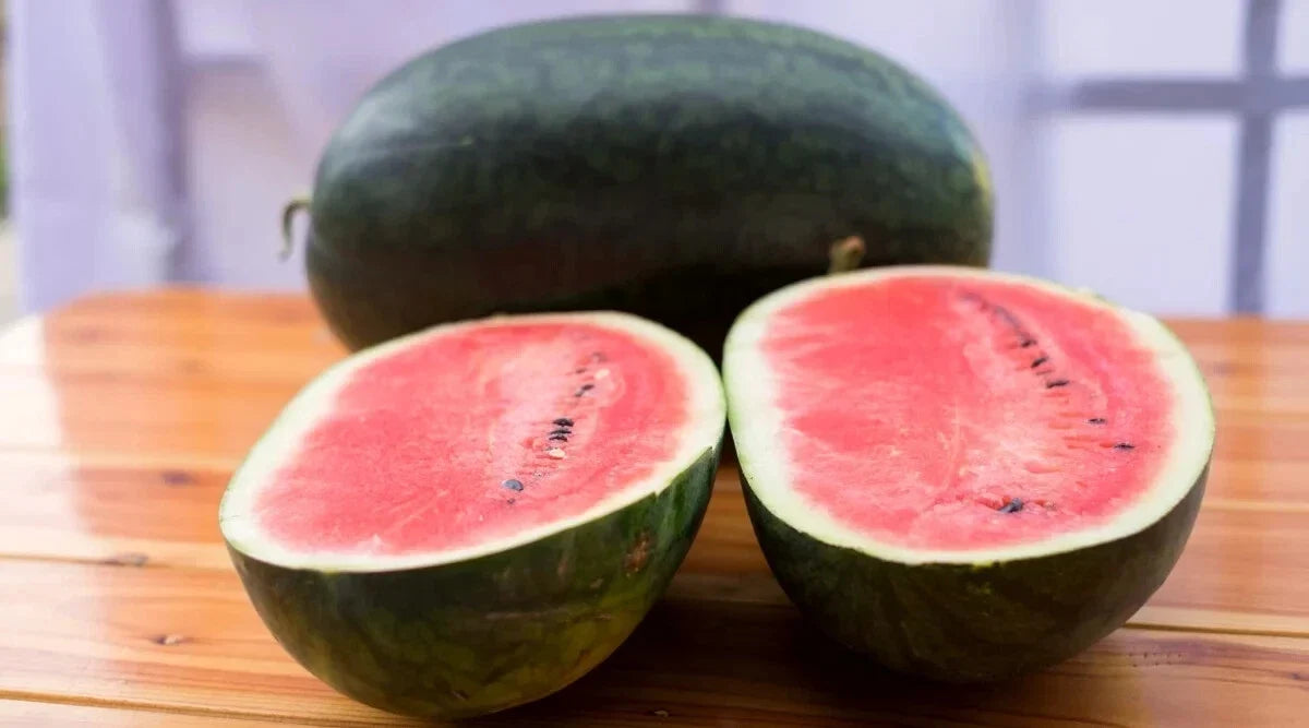 Black Diamond Watermelon Seeds - 50+ Pack, Heirloom Citrullus lanatus, Juicy, Large, Dark Green Rind, Vining, Non-GMO Seeds
