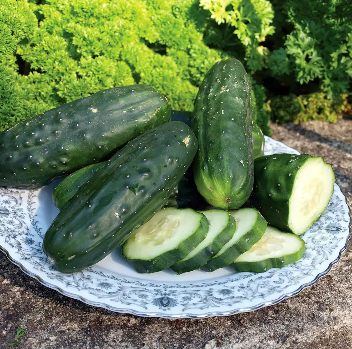 Organic Heirloom Double Yield Cucumber Seeds - NON-GMO, 100+ Seeds, Cucumis sativus, Vining, Full Sun, Easy to Grow