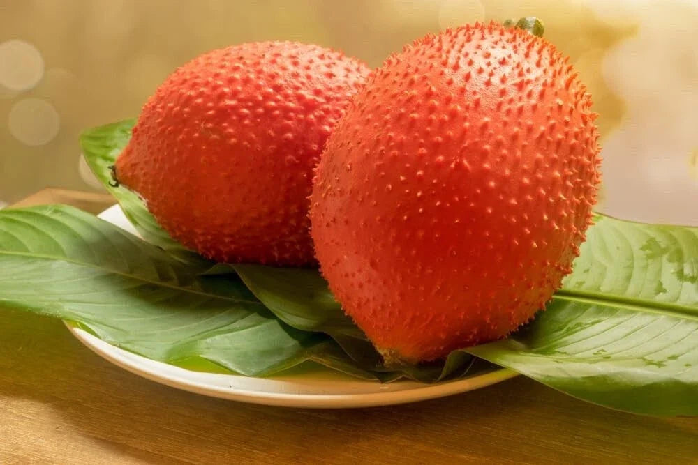 Gac Melon Seeds - 5 Rare Compact Vines - Bright Spiky Fruit - Momordica cochinchinensis