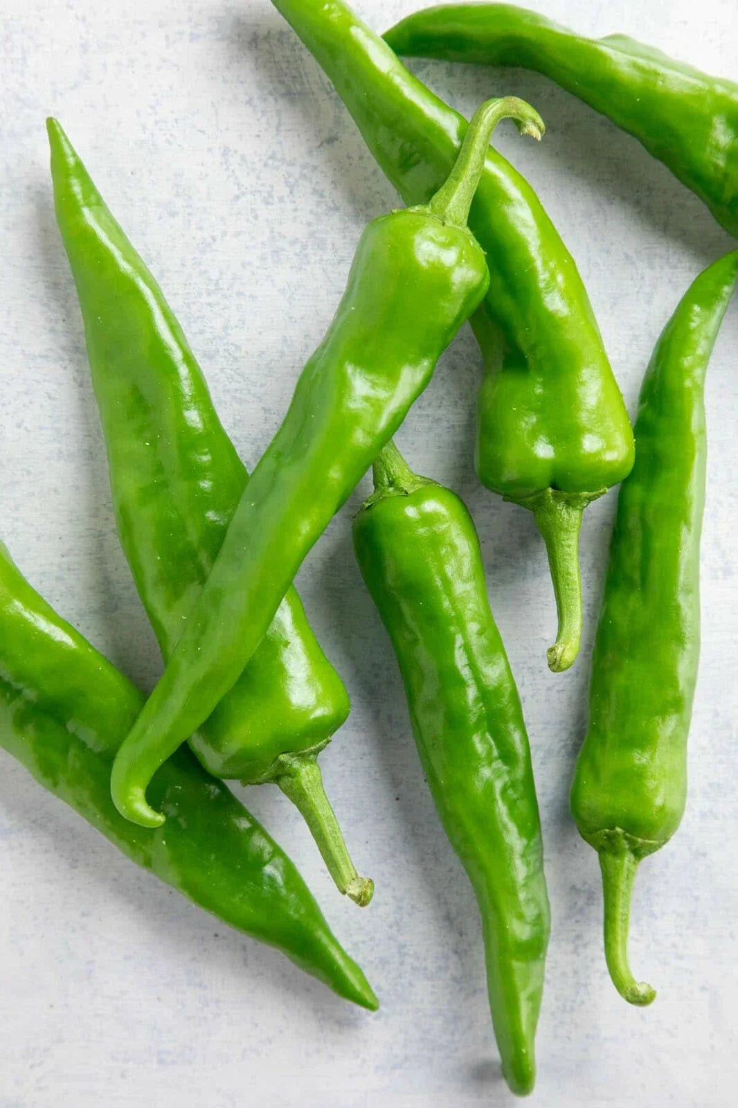 Hatch Sandia Chili Pepper Seeds - NuMex Hot Green Chile Capsicum annuum