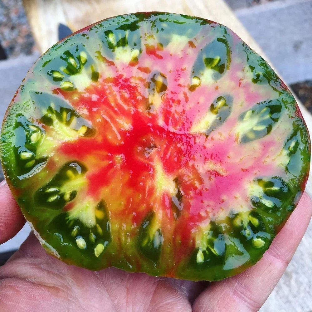 Ananas Noire Tomato Seeds - Organic Heirloom Black Pineapple Variety, Solanum lycopersicum, Dark-Hued, Gourmet, 10+ Seeds
