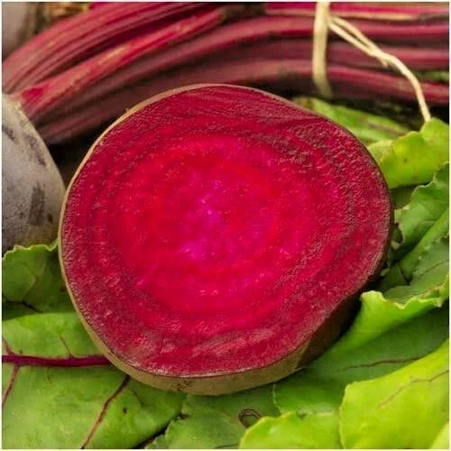 Bulls Blood Beet Seeds - 101+ Heirloom Beta vulgaris Seeds for Garden & Container