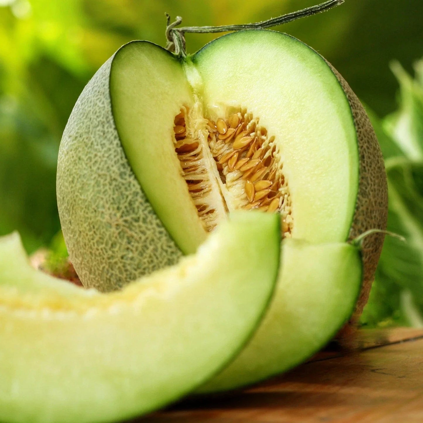 Rocky Ford Green Cantaloupe Seeds – Heirloom Open-Pollinated Cucumis melo for Backyard Gardening