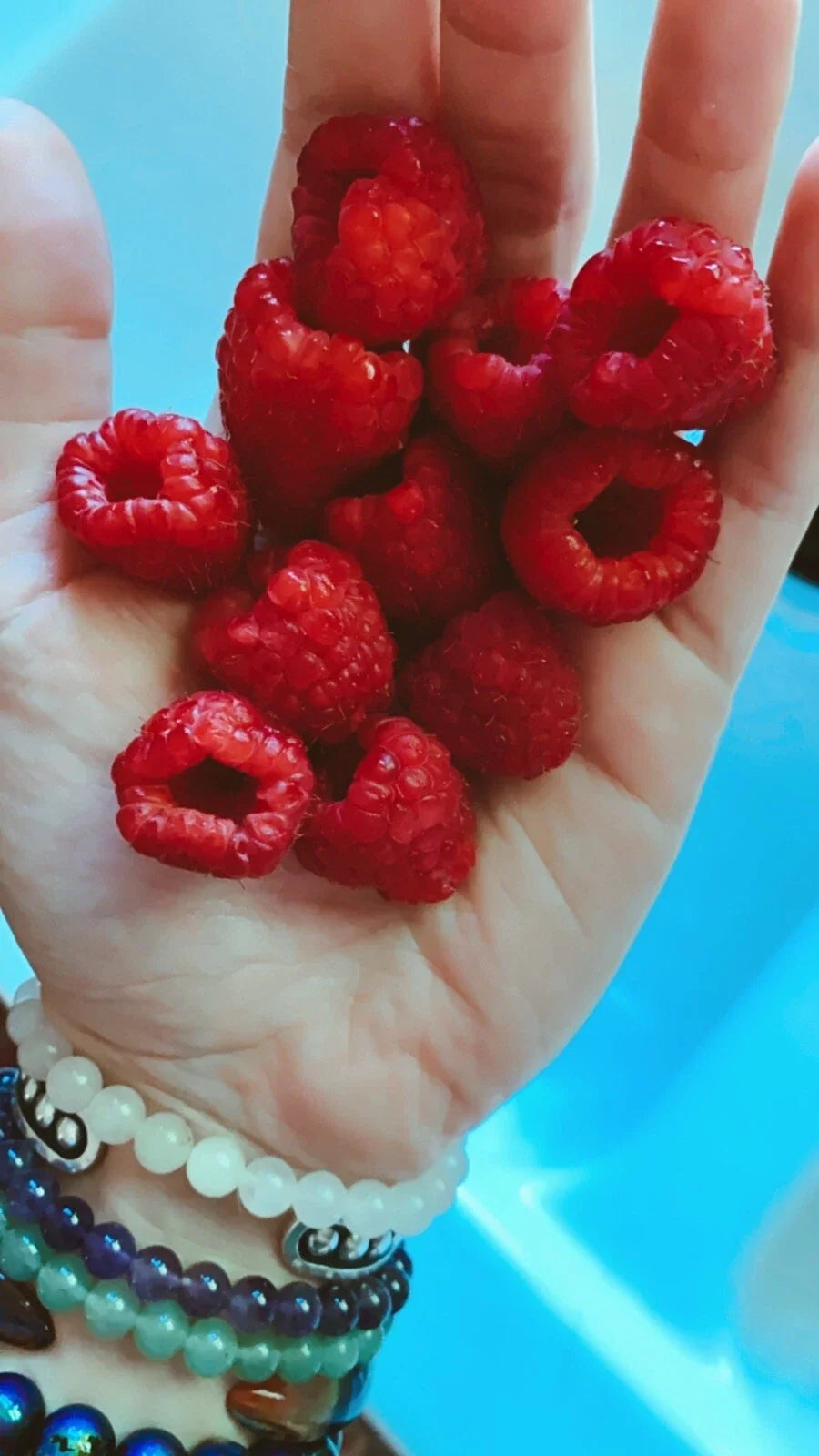 Red Raspberry Seeds - 100 Count, Edible Berry Garden Vine, Rubus idaeus, Non-GMO, Heirloom, Homegrown Fruit, Perennial Plant