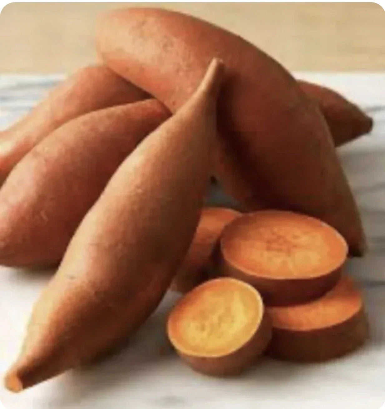 Beauregard Sweet Potato Plants - 15 Organic Slips - Ipomoea batatas Edible Garden Vegetables