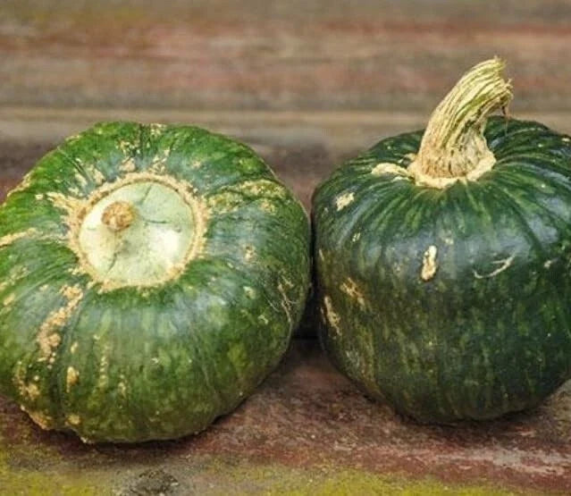 Burgess Buttercup Squash Seeds - 10 Pack, Cucurbita maxima, Compact Bush, Edible Orange Flesh, Full Sun Gardening