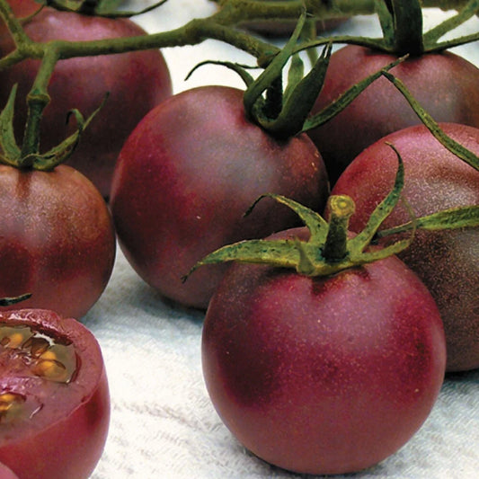 Chocolate Cherry Tomato Seeds - Heirloom Solanum lycopersicum, 30 Seeds for Home Garden, Sweet, Flavorful, Indeterminate, Container-Friendly