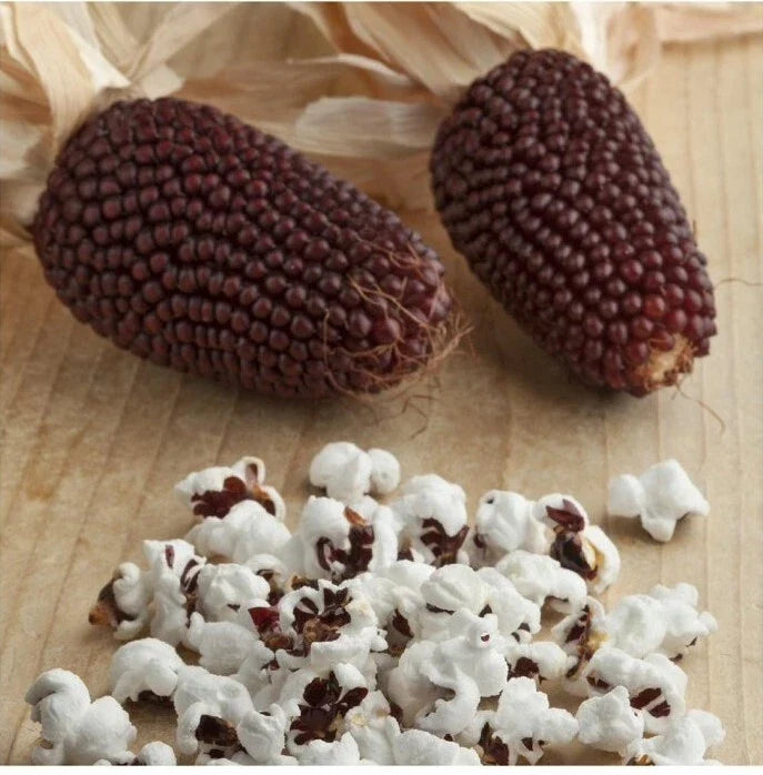 Red Strawberry Popcorn Seeds – 20+ Zea mays Heirloom, Non-GMO, Vibrant Red Kernels for Garden, Popping & Decorative Use
