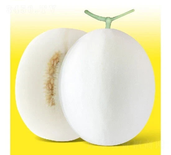 White Jade Muskmelon Seeds, Cucumis melo, 20 Pack, Sugar Jar Melon, Juicy Fruit Seeds for Home Garden & Containers