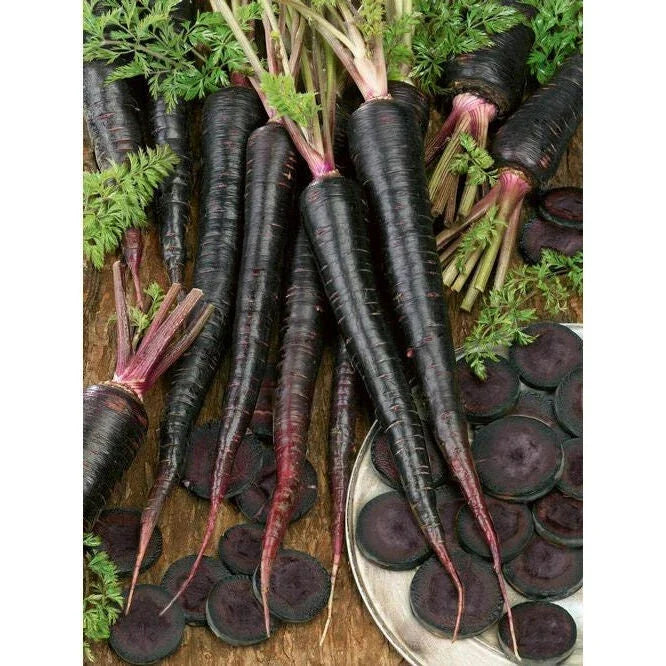 Black Nebula Carrot Seeds - Non-GMO Heirloom Purple Root Vegetable Daucus carota, Pack of 200 Seeds