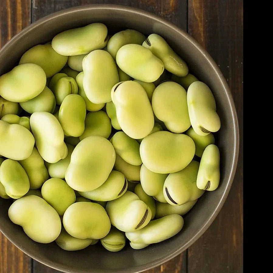 Aquadulce Fava Bean Seeds – Cover Crop, Vicia faba, 20+ Premium Seeds for Soil Enrichment & Biodiversity
