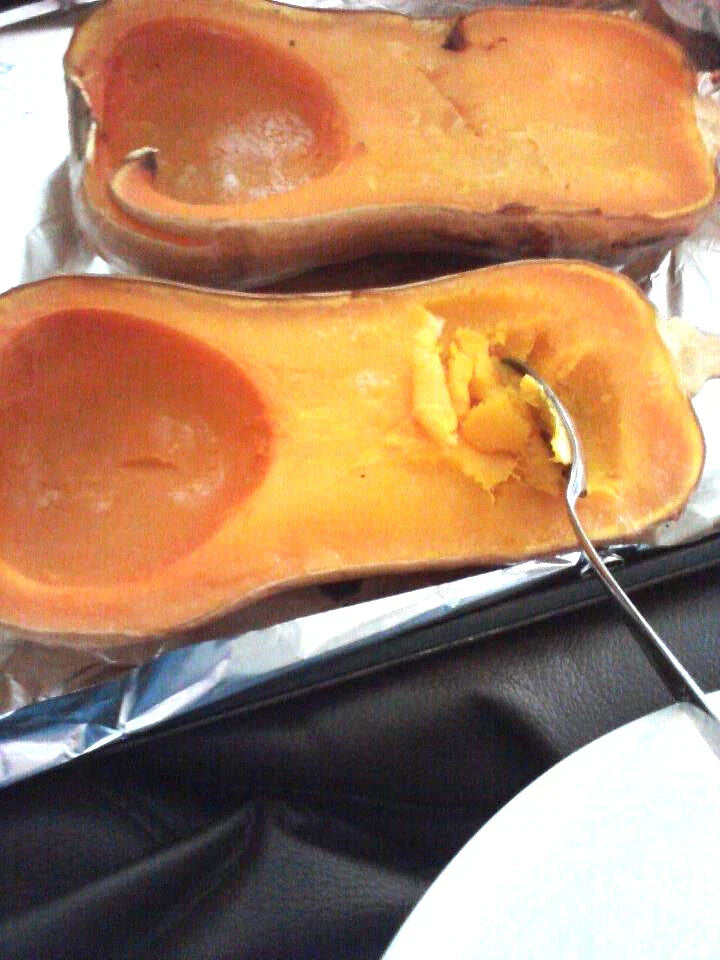 Butternut Squash Seeds 24 Pack - Cucurbita moschata - GroCo USA