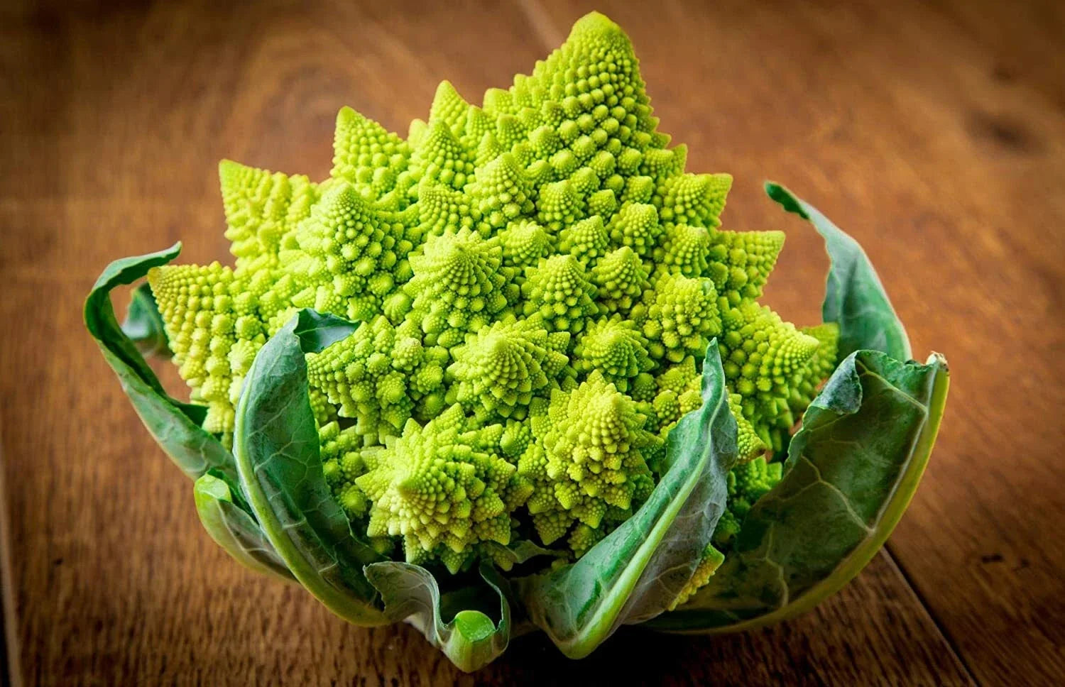 Broccoli Romanesco Seeds - 100 Count, Heirloom Vegetable, Fractal Heads, Brassica oleracea var. italica