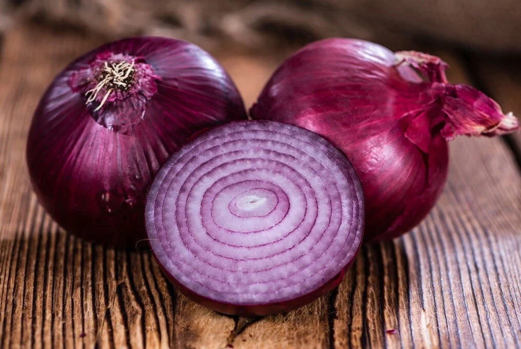 Organic Red Creole Onion Seeds - Heirloom Non-GMO Vegetable Seeds for Easy Gardening - Allium cepa