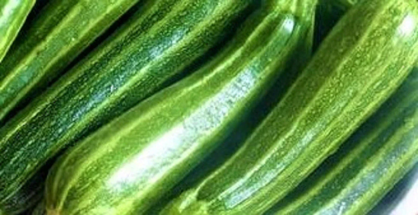 Cocozelle Zucchini Seeds 30 Non-GMO Heirloom Cucurbita pepo