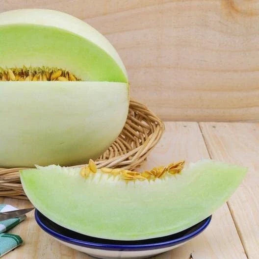Green Honeydew Melon Seeds - 30 Pack, Cucumis melo, Juicy, Easy to Grow, Summer Fruit, Vining Melons