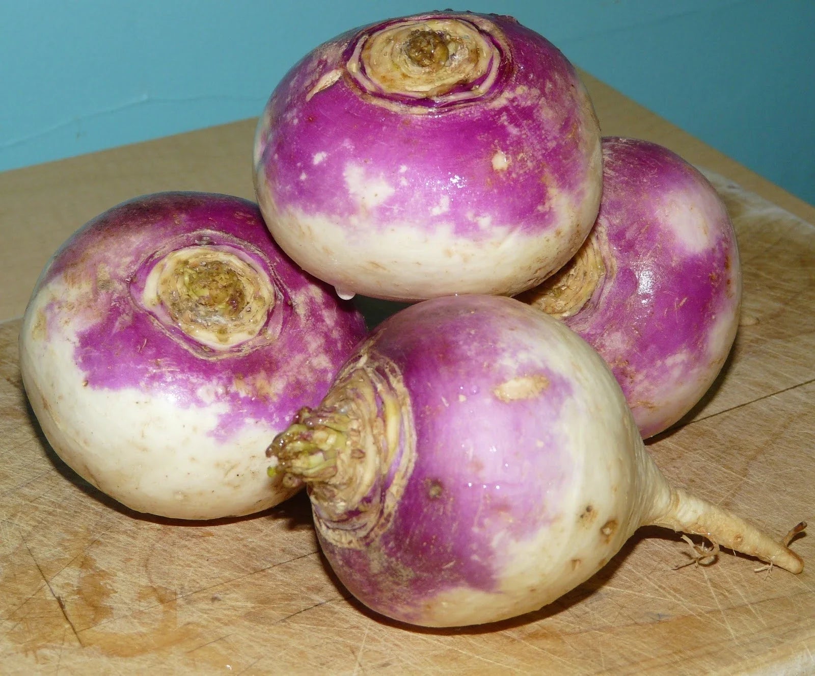 Rutabaga Seeds Bulk 500 Count for Growing Brassica napus Root Vegetables for Soups Stews & Cooking
