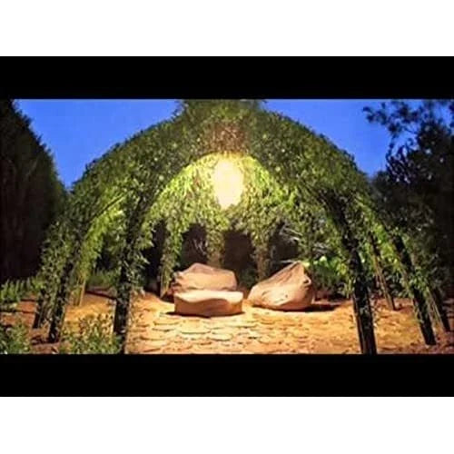 Willow Tree Kit - 10 Live Salix spp. for Garden Structure with Video Tutorial