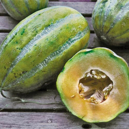 Bidwell Casaba Melon Seeds - Heirloom Cucumis melo, Sweet Juicy Fruit, Large Melons, Garden Planting, High Yield, Full Sun