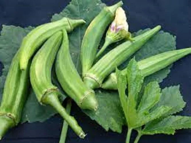 Organic Heirloom Okra Seeds - Clemson Spineless Variety, Non-GMO, High Yield, Easy to Grow, Perfect for Container & Garden Beds