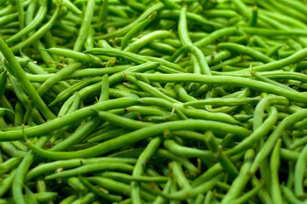 Strike Green Bean Seeds - Organic Phaseolus vulgaris for Home Gardening