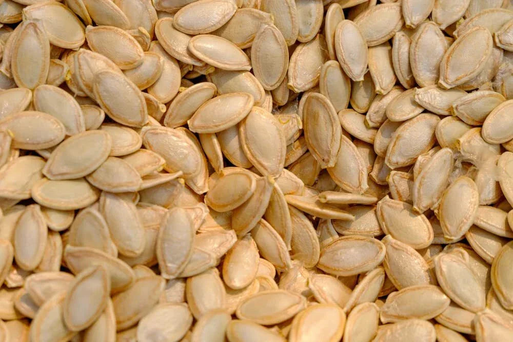 Delicata Squash Seeds - 20 Jester Seeds - Heirloom Organic Cucurbita Pepo