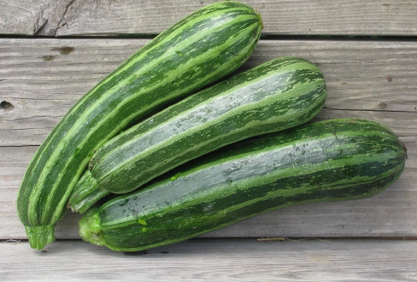 Italian Cocozelle Zucchini Seeds – 20 Summer Squash Cucurbita pepo, Striped Green, Bush-Type, Non-GMO