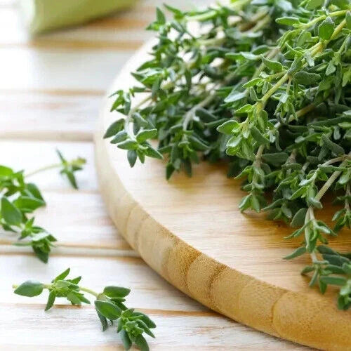 Thyme Seeds - Heirloom Non-GMO Culinary Herb Seeds - Thymus vulgaris, Perfect for Gardens & Containers