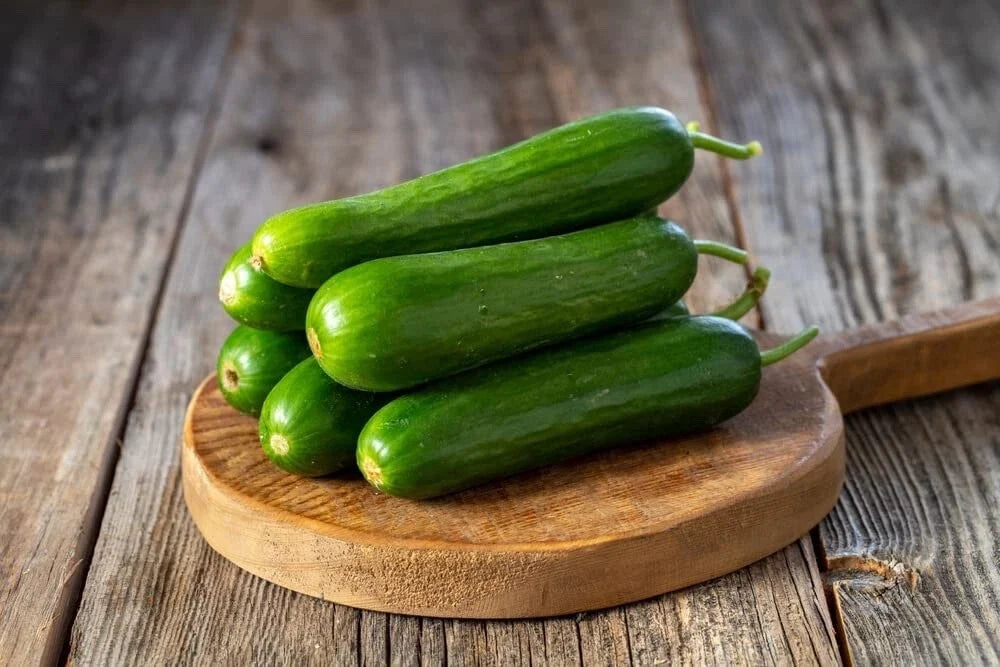 Mini Cucumber Seeds, Picolino Variety, 10 Seeds, Compact Bush, Cucumis sativus, Garden Vegetable