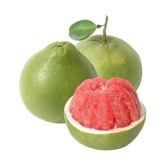 Very Sweet Pomelo Seeds - Citrus Maxima - Pink Flesh & Green Rind - 5 Pack for Garden & Orchard