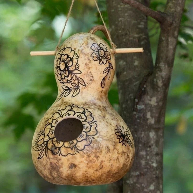 Birdhouse Gourd Seeds, Pack of 15, Lagenaria siceraria, Crafting & Birdhouses, Non-GMO, Free Shipping USA