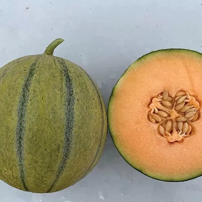 Cantaloupe Seeds for Planting - Melonade Variety - Cucumis melo - Juicy, Sweet, Vining Melon Seeds (10 Pack)