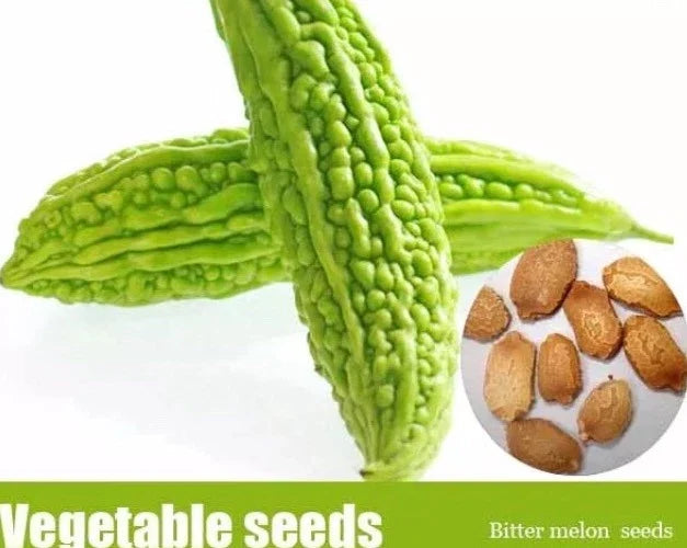 Bitter Melon Seeds 50+ Pack | Momordica charantia | Climbing Vine for Garden & Container Planting