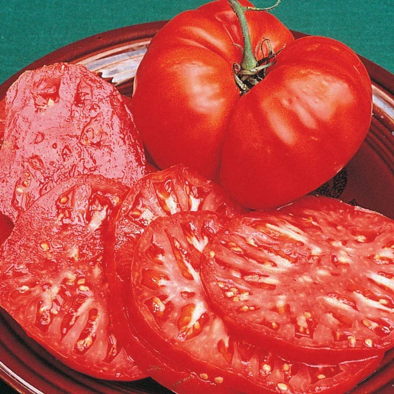 Brandywine Tomato Seeds - 25 Heirloom Vegetable Seeds - Solanum lycopersicum
