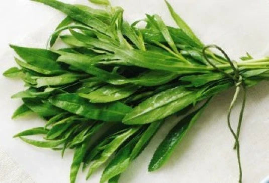 Fresh Tarragon Seeds - 200+ Pack, Artemisia dracunculus, Heirloom Culinary Herb, Perennial, Indoor & Outdoor Gardening