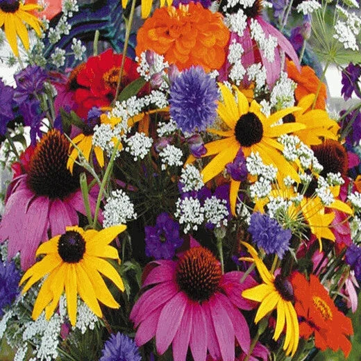 Annual Wildflower Seed Mix - Non-GMO, Colorful Cutflower Seeds for Garden & Pollinator Attraction