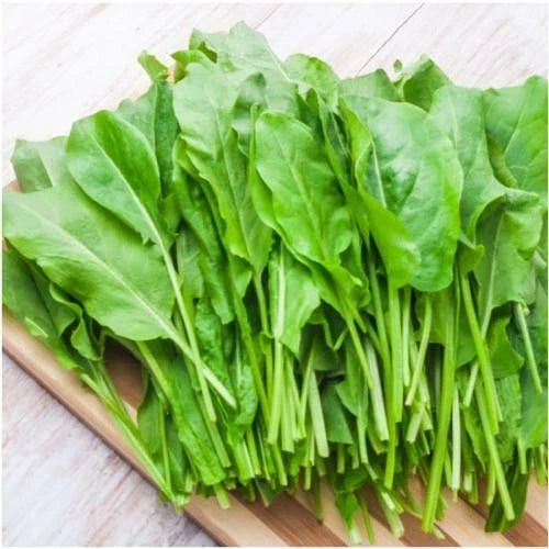 Large Leaf Sorrel Seeds - Organic Rumex acetosa for Garden, Patio & Containers - Easy to Grow, Nutrient-Rich Greens