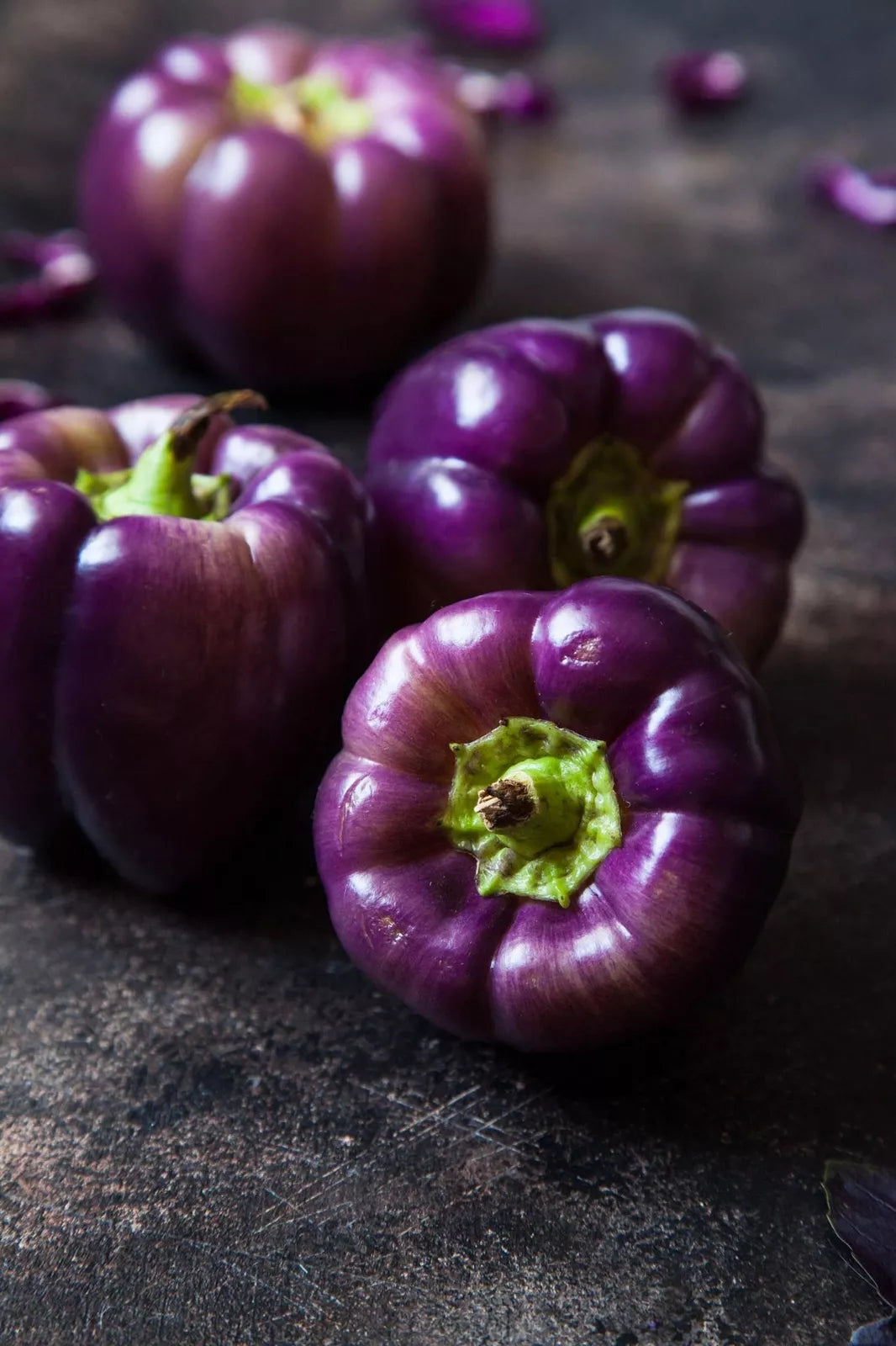 Purple Beauty Pepper Seeds - Capsicum annuum - Edible Compact Plant for Home Gardening - 100+ Seeds