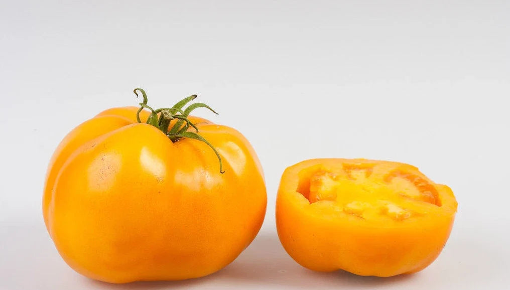 Sunray Tomato Seeds - Heirloom Low Acid Variety - Meaty Interior - 20 Count Packet - Solanum lycopersicum
