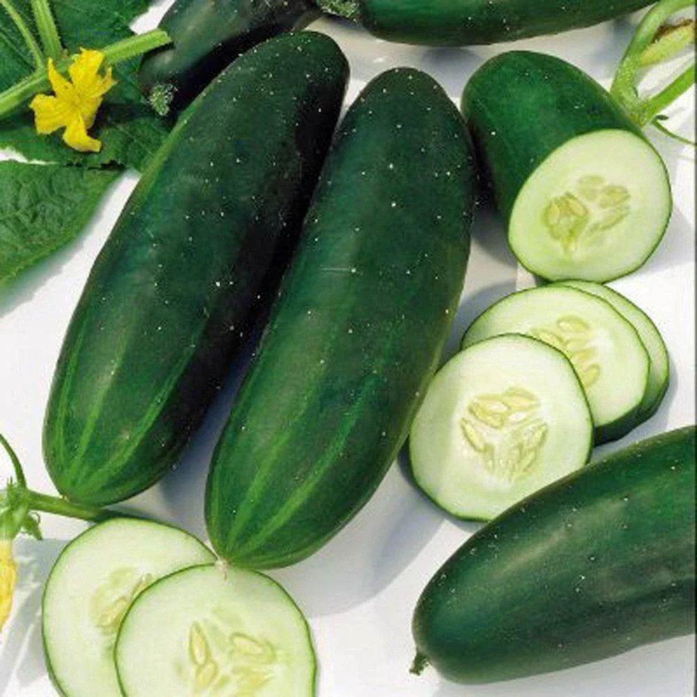 Straight Eight Cucumber Seeds - 60+ Non-GMO Heirloom Seeds for Vegetable Gardens