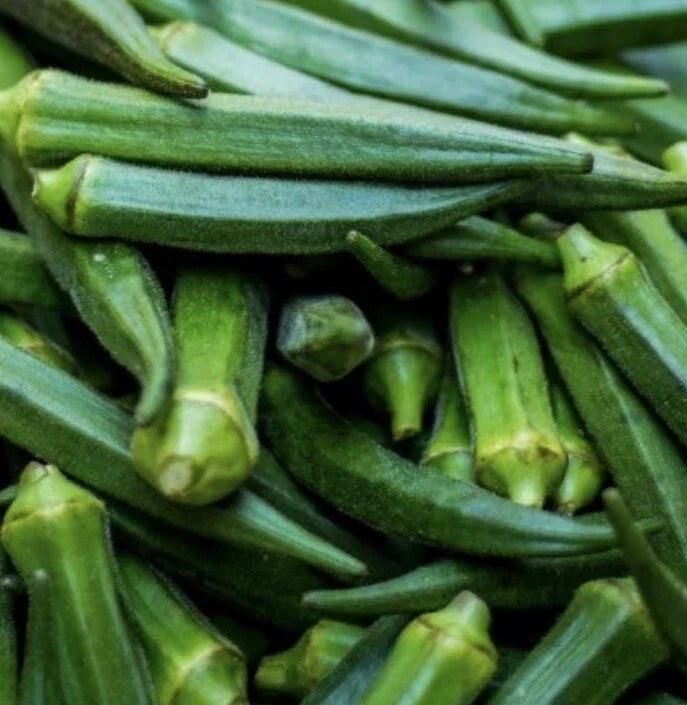 Emerald Okra Seeds – 100+ Non-GMO Abelmoschus esculentus for Home Gardening & Cooking