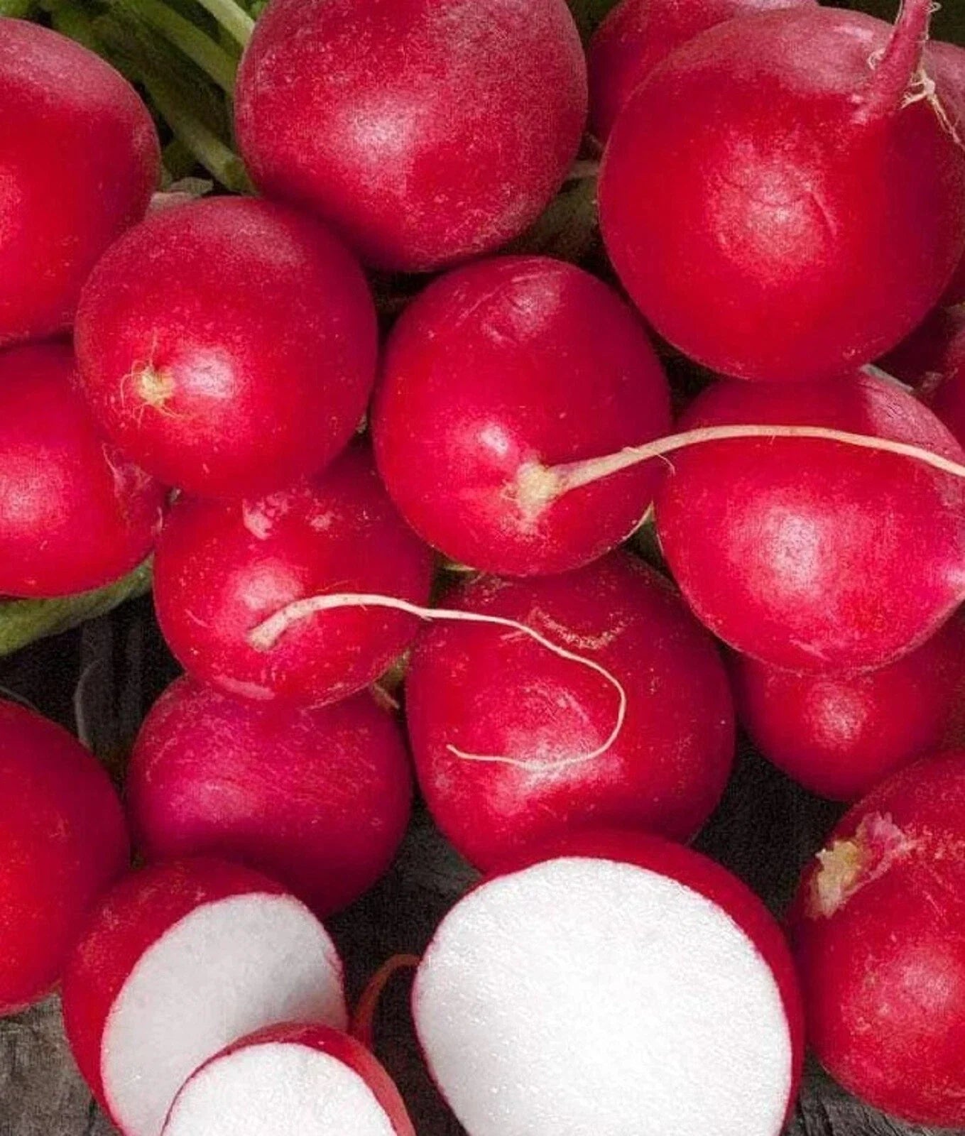 Cherry Belle Radish Seeds - 200+ Non-GMO Radish Seeds for Fast Germination, Raphanus sativus, Home Garden, Salad, Container Planting